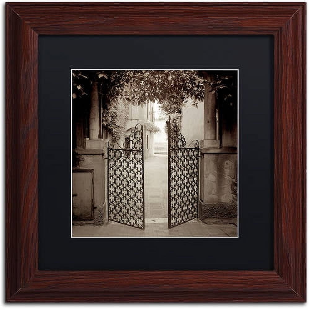 Trademark Fine Art "Venezia V" Canvas Art by Alan Blaustein, Black Matte, Wood Frame