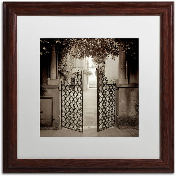Trademark Fine Art "Venezia V" Canvas Art by Alan Blaustein, White Matte, Wood Frame