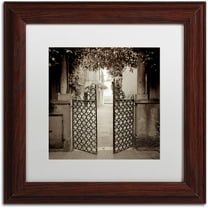 Trademark Fine Art "Venezia V" Canvas Art by Alan Blaustein, White Matte, Wood Frame