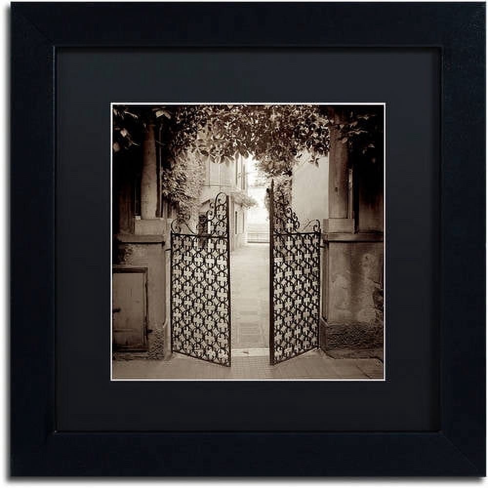 Trademark Fine Art "Venezia VII" Canvas Art by Alan Blaustein, Black Matte, Black Frame