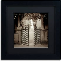 Trademark Fine Art "Venezia VII" Canvas Art by Alan Blaustein, Black Matte, Black Frame