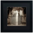 thumbnail image 1 of Trademark Fine Art "Venezia VII" Canvas Art by Alan Blaustein, Black Matte, Black Frame, 1 of 4