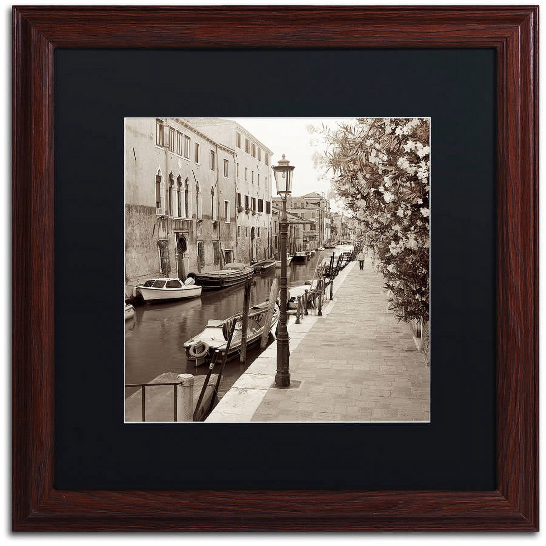 Trademark Fine Art "Venezia VII" Canvas Art by Alan Blaustein, Black Matte, Wood Frame