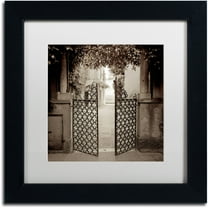 Trademark Fine Art "Venezia VII" Canvas Art by Alan Blaustein, White Matte, Black Frame