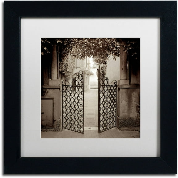 Trademark Fine Art "Venezia VII" Canvas Art by Alan Blaustein, White Matte, Black Frame