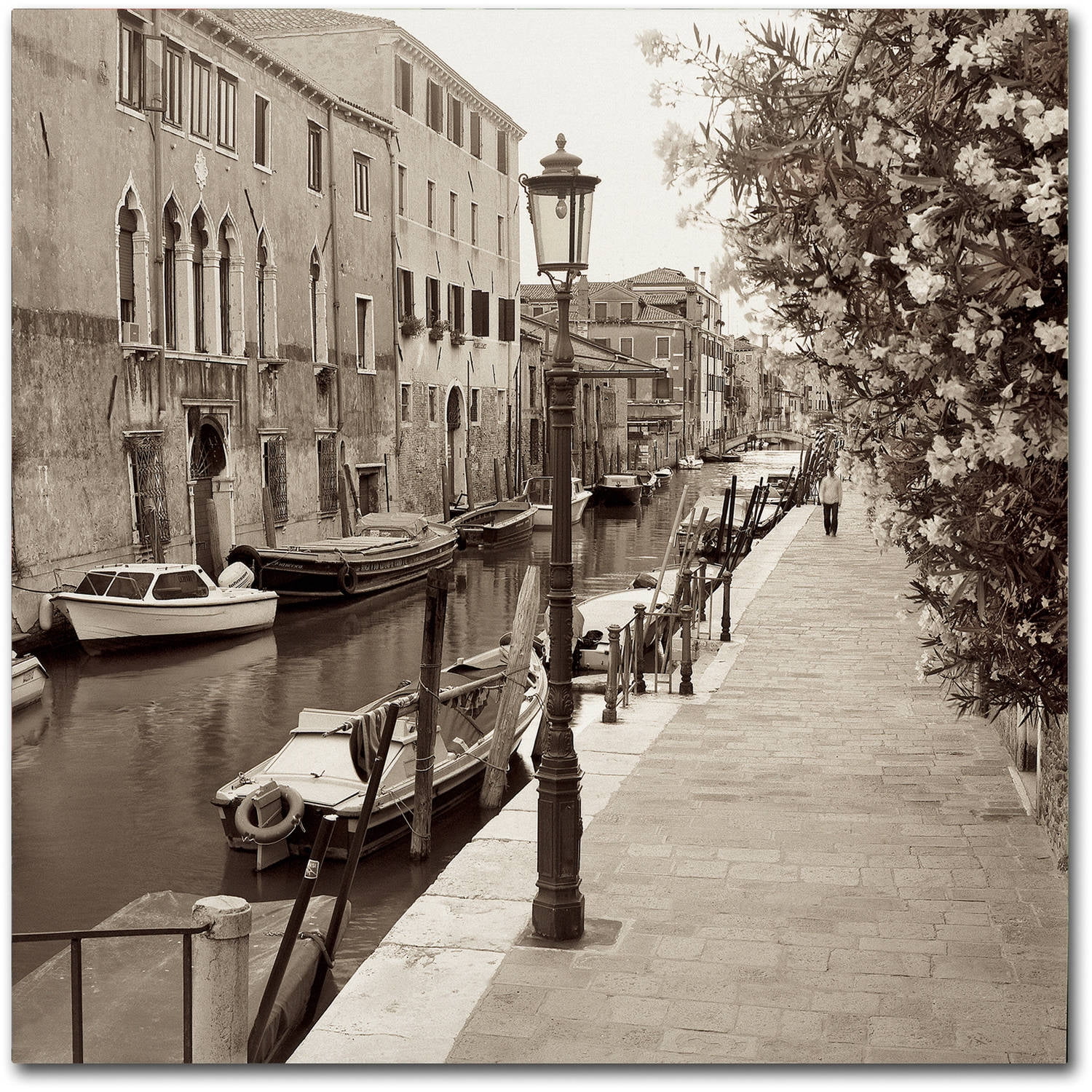 Trademark Fine Art "Venezia VII" Canvas Art by Alan Blaustein