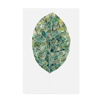 Trademark Fine Art 'Verdant Details IV' Canvas Art by Grace Popp