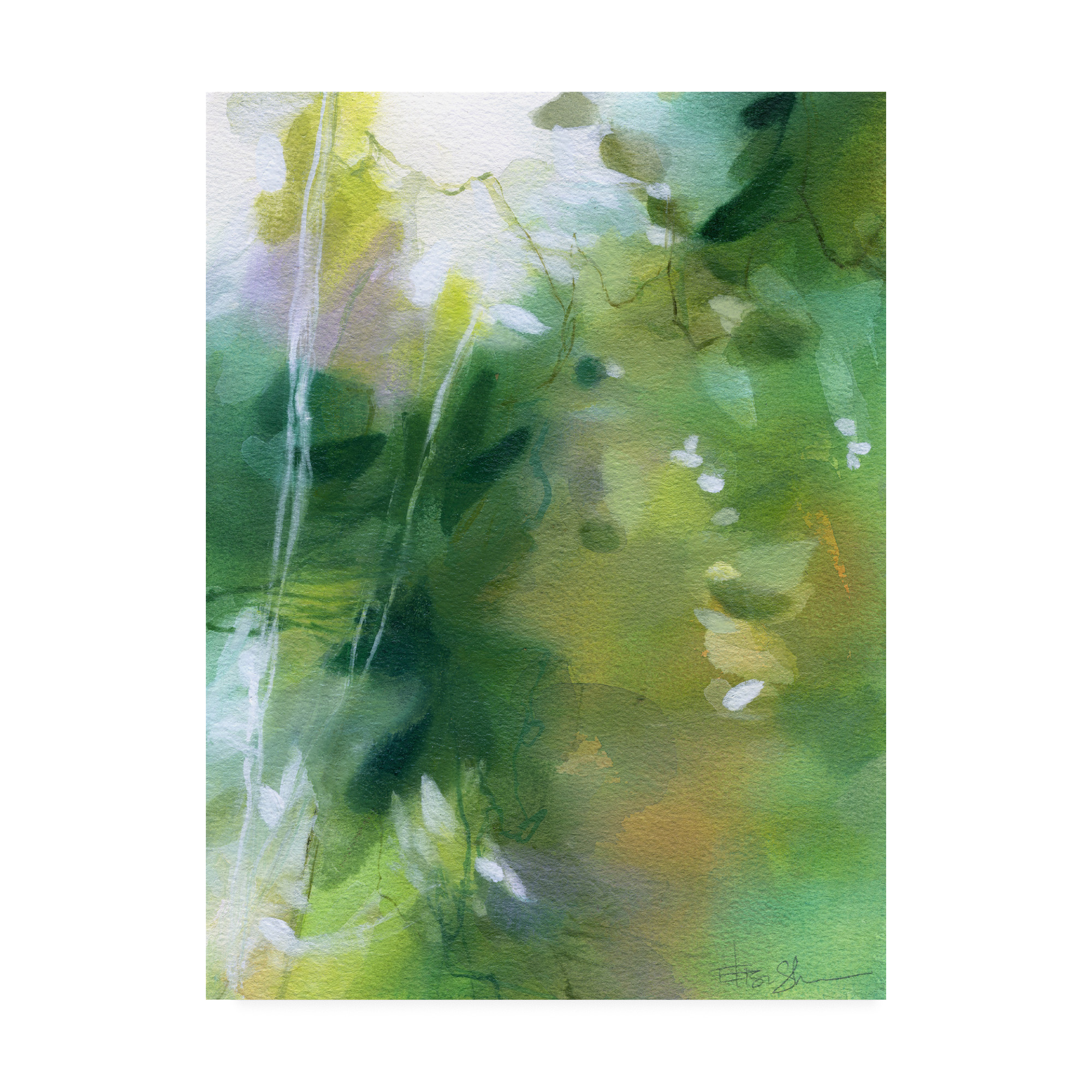 Trademark Fine Art 'Verdant Shallows I' Canvas Art by Elisa Sheehan