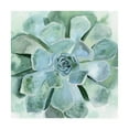 thumbnail image 1 of Trademark Fine Art 'Verdant Succulent III' Canvas Art by Victoria Borges, 1 of 3