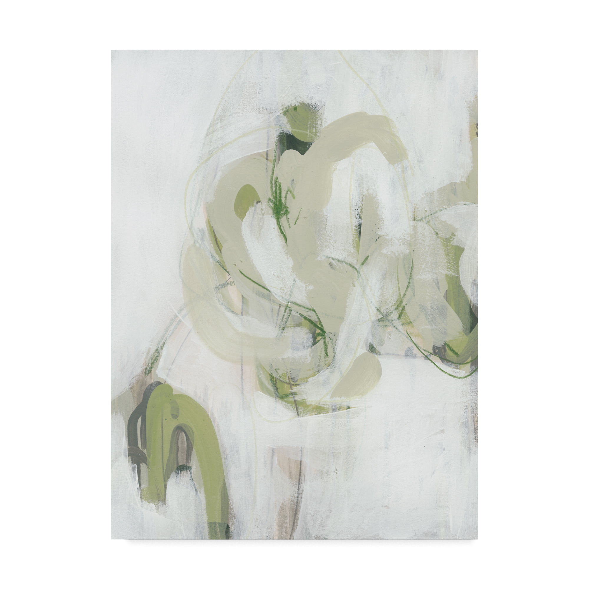 Trademark Fine Art 'Verge I' Canvas Art by June Erica Vess