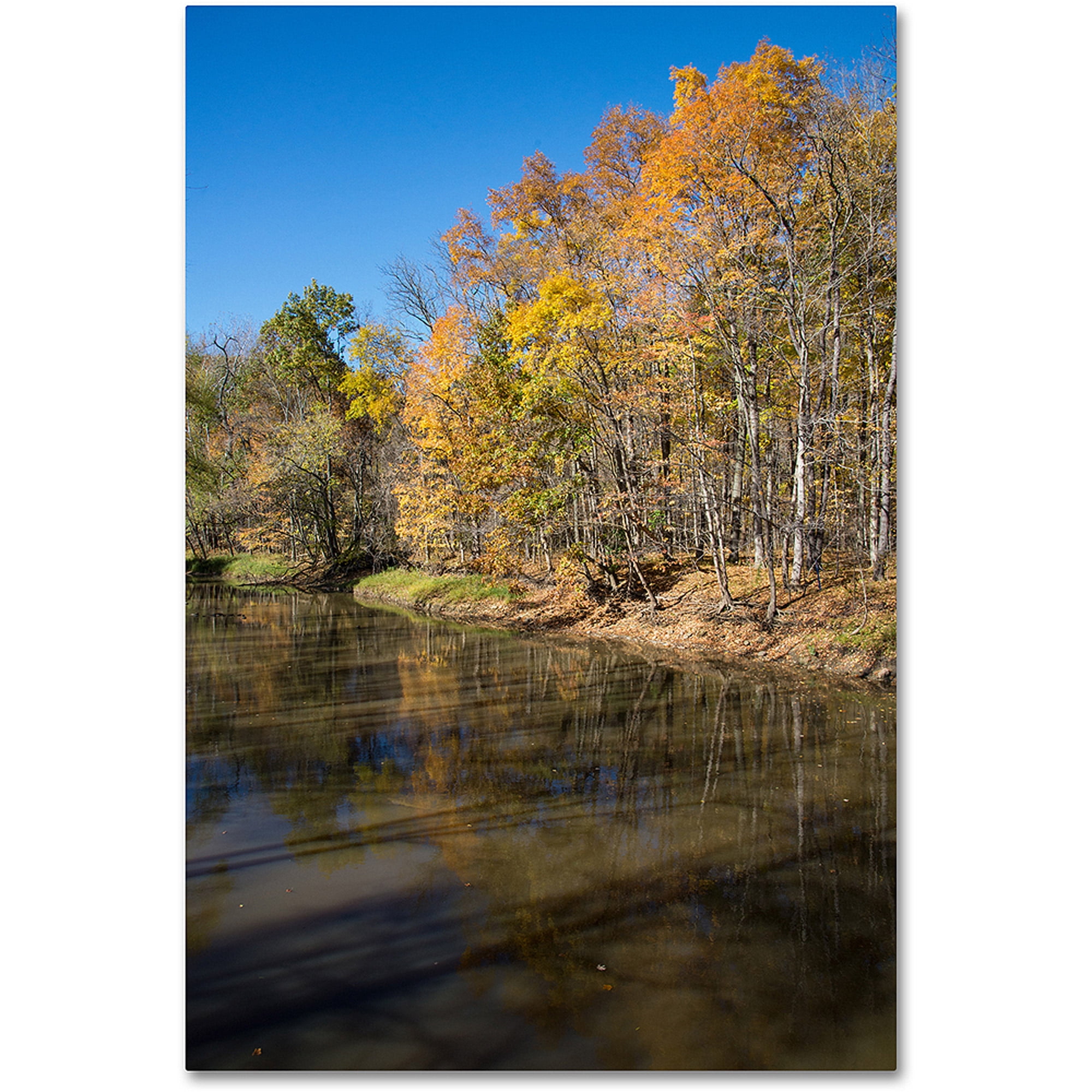 Trademark Fine Art "Vermilion River Autumn" Canvas Art by Kurt Shaffer