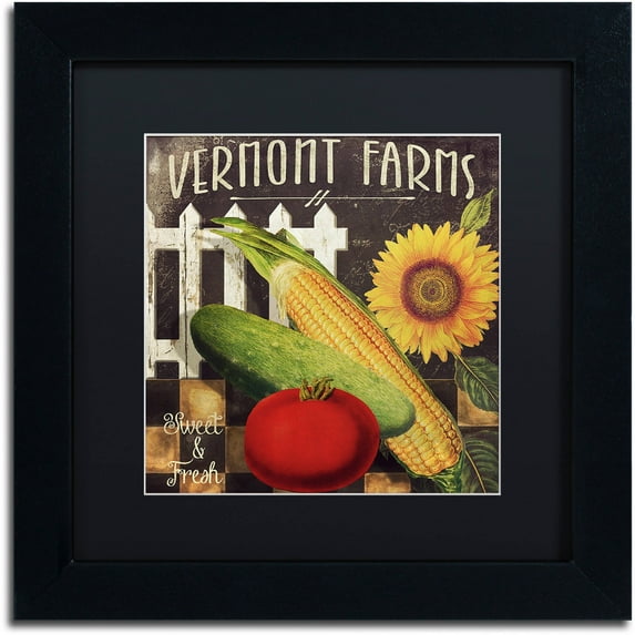 Trademark Fine Art "Vermont Farms VII" Canvas Art by Color Bakery Black Matte, Black Frame