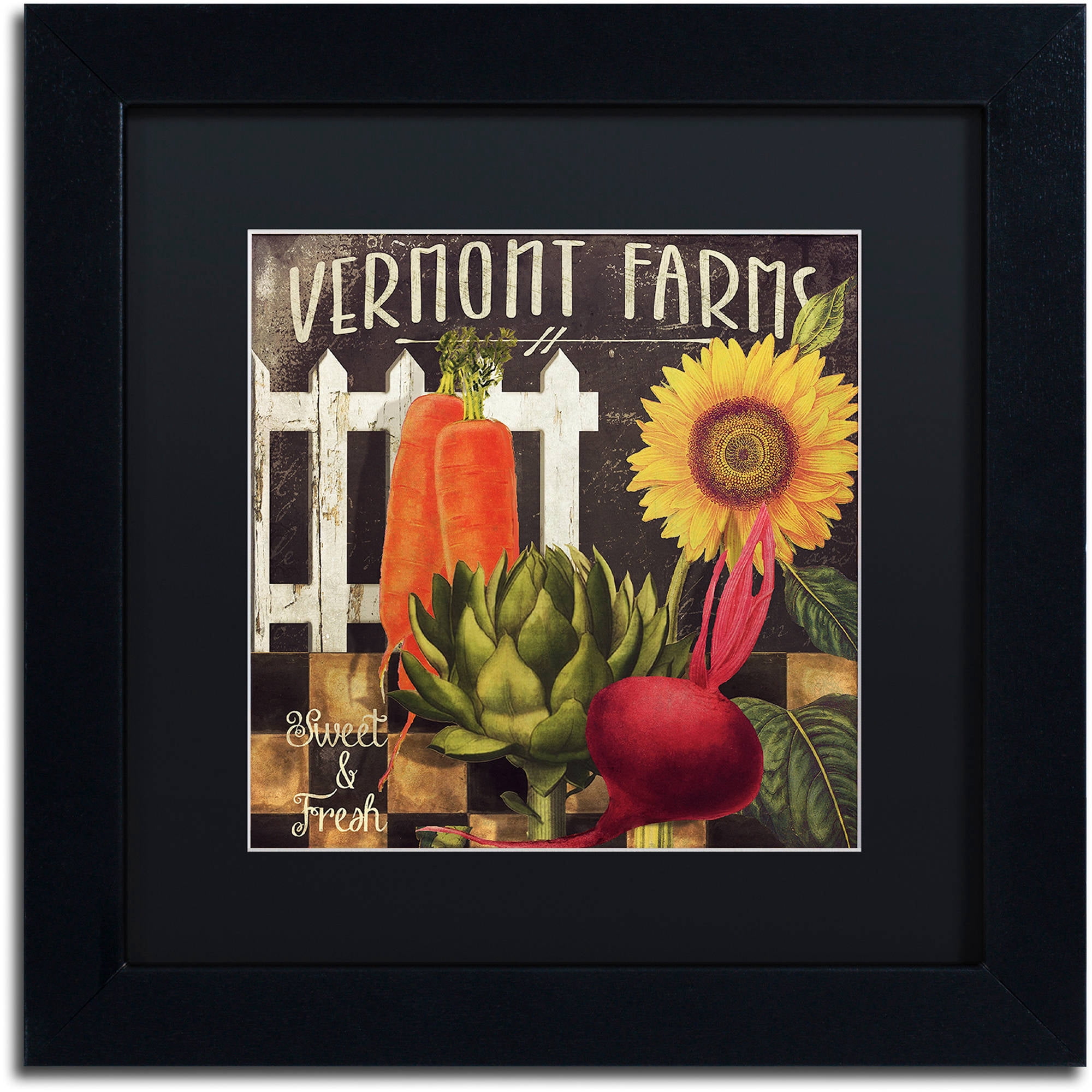 Trademark Fine Art "Vermont Farms VIII" Canvas Art by Color Bakery Black Matte, Black Frame