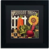 Trademark Fine Art "Vermont Farms VIII" Canvas Art by Color Bakery Black Matte, Black Frame