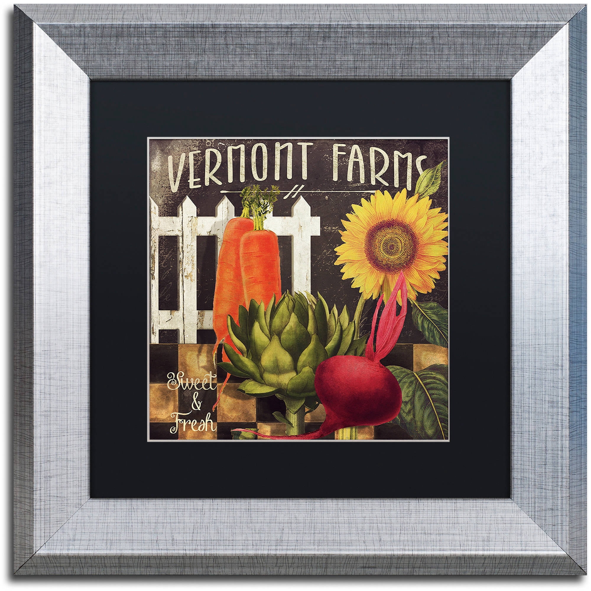 Trademark Fine Art "Vermont Farms VIII" Canvas Art by Color Bakery Black Matte, Silver Frame
