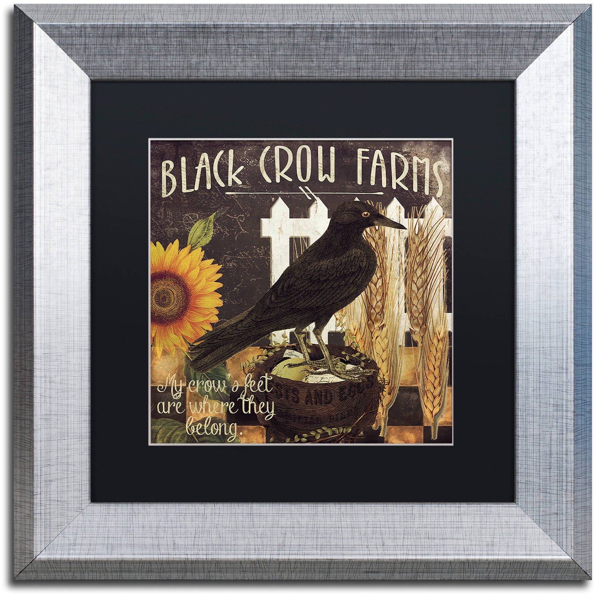 Trademark Fine Art "Vermont Farms X" Canvas Art by Color Bakery Black Matte, Silver Frame