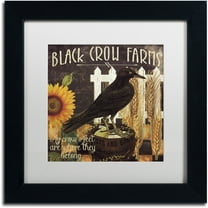 Trademark Fine Art "Vermont Farms X" Canvas Art by Color Bakery White Matte, Black Frame