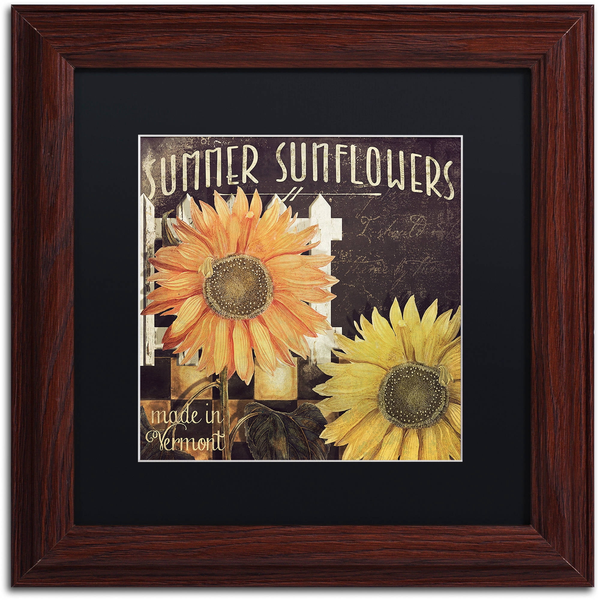 Trademark Fine Art "Vermont Farms XI" Canvas Art by Color Bakery Black Matte, Wood Frame