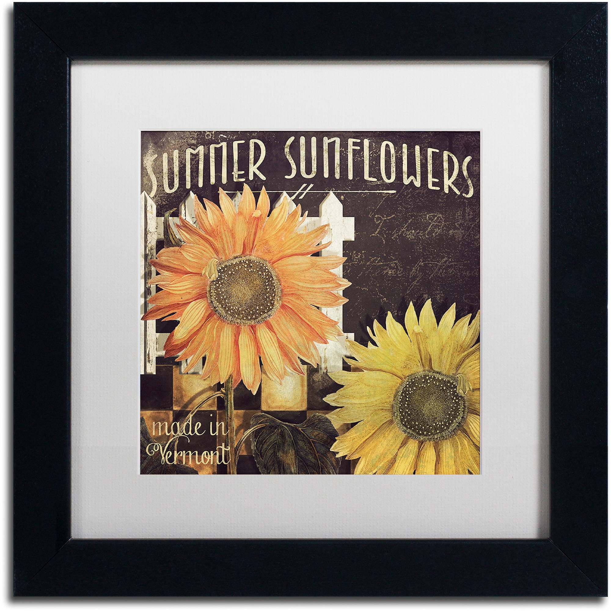 Trademark Fine Art "Vermont Farms XI" Canvas Art by Color Bakery White Matte, Black Frame