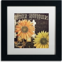 Trademark Fine Art "Vermont Farms XI" Canvas Art by Color Bakery White Matte, Black Frame