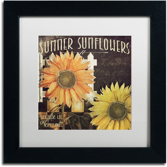 Trademark Fine Art "Vermont Farms XI" Canvas Art by Color Bakery White Matte, Black Frame