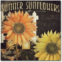 Trademark Fine Art "Vermont Farms XI" Canvas Art by Color Bakery