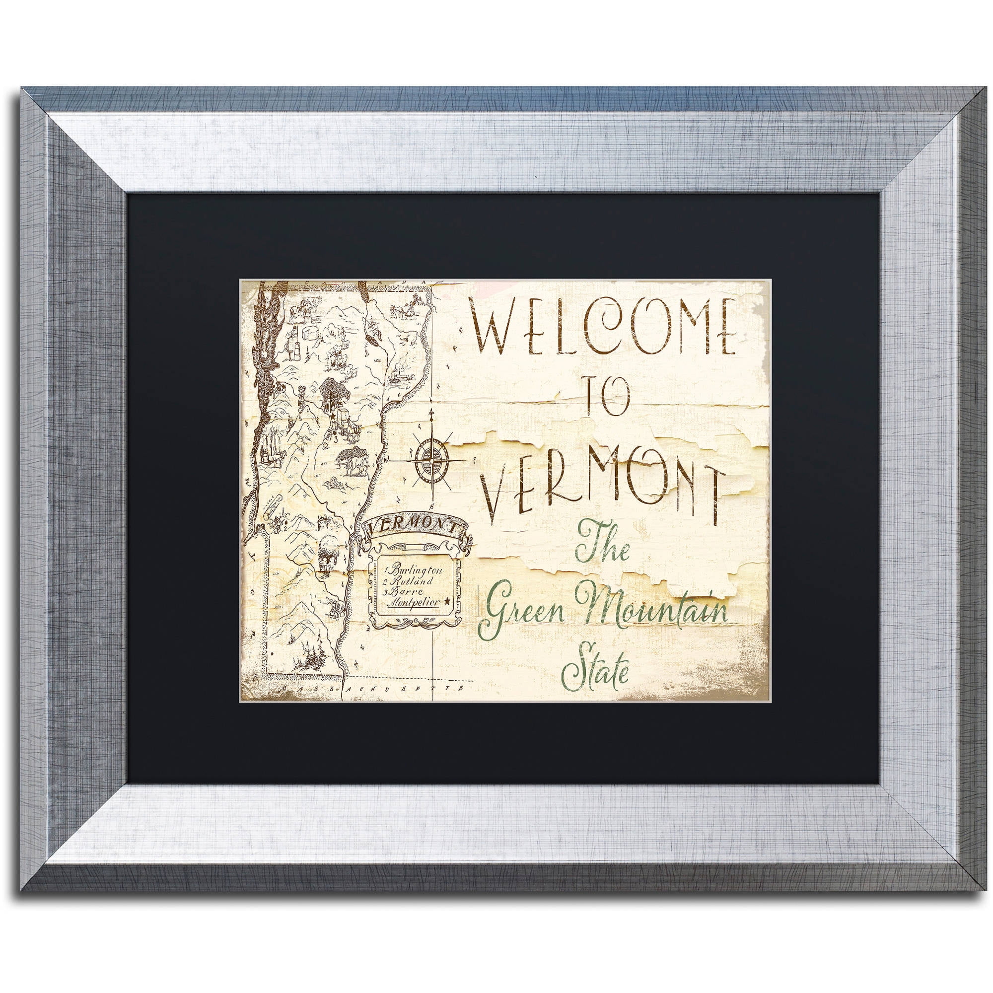 Trademark Fine Art "Vermont Summer IX" Canvas Art by Color Bakery Black Matte, Silver Frame