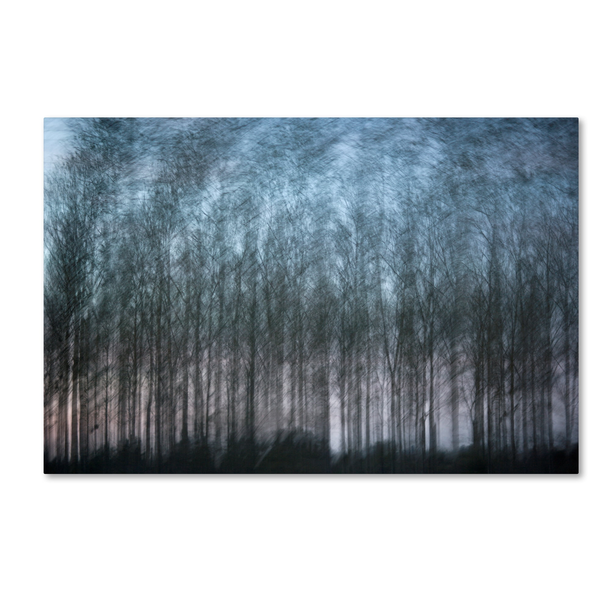 Trademark Fine Art 'Verschrankung' Canvas Art by Geoffrey Ansel Agrons