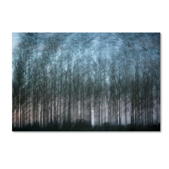 Trademark Fine Art 'Verschrankung' Canvas Art by Geoffrey Ansel Agrons