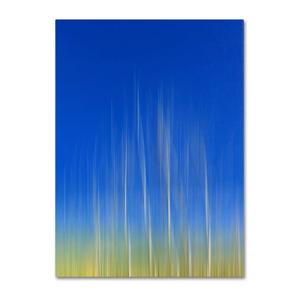 Trademark Fine Art "Vertical Activity" Canvas Art by Philippe Sainte-Laudy