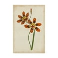 thumbnail image 1 of Trademark Fine Art 'Vibrant Botanicals IV' Canvas Art by Unknown, 1 of 4