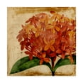thumbnail image 1 of Trademark Fine Art 'Vibrant Floral III' Canvas Art by Vision Studio, 1 of 4