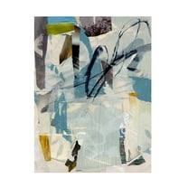 Trademark Fine Art Victoria Barnes Cache Collage II Canvas Wall Art