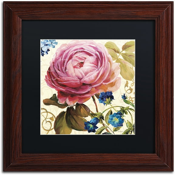 Trademark Fine Art "Victorias Dream II" Canvas Art by Lisa Audit, Black Matte, Wood Frame