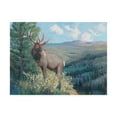 thumbnail image 1 of Trademark Fine Art 'View From the Top II' Canvas Art by Tim OToole, 1 of 3