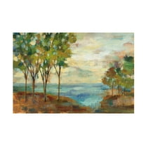 Trademark Fine Art 'View of the Lake' Canvas Art by Silvia Vassileva