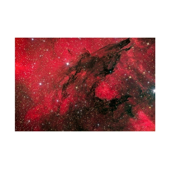 Trademark Fine Art Vikas Chander Hungry like the Wolf Canvas Wall Art