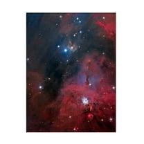 Trademark Fine Art Vikas Chander Ngc 1999 Canvas Wall Art