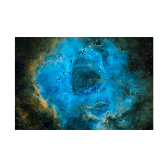 Trademark Fine Art Vikas Chander Rosette Canvas Wall Art