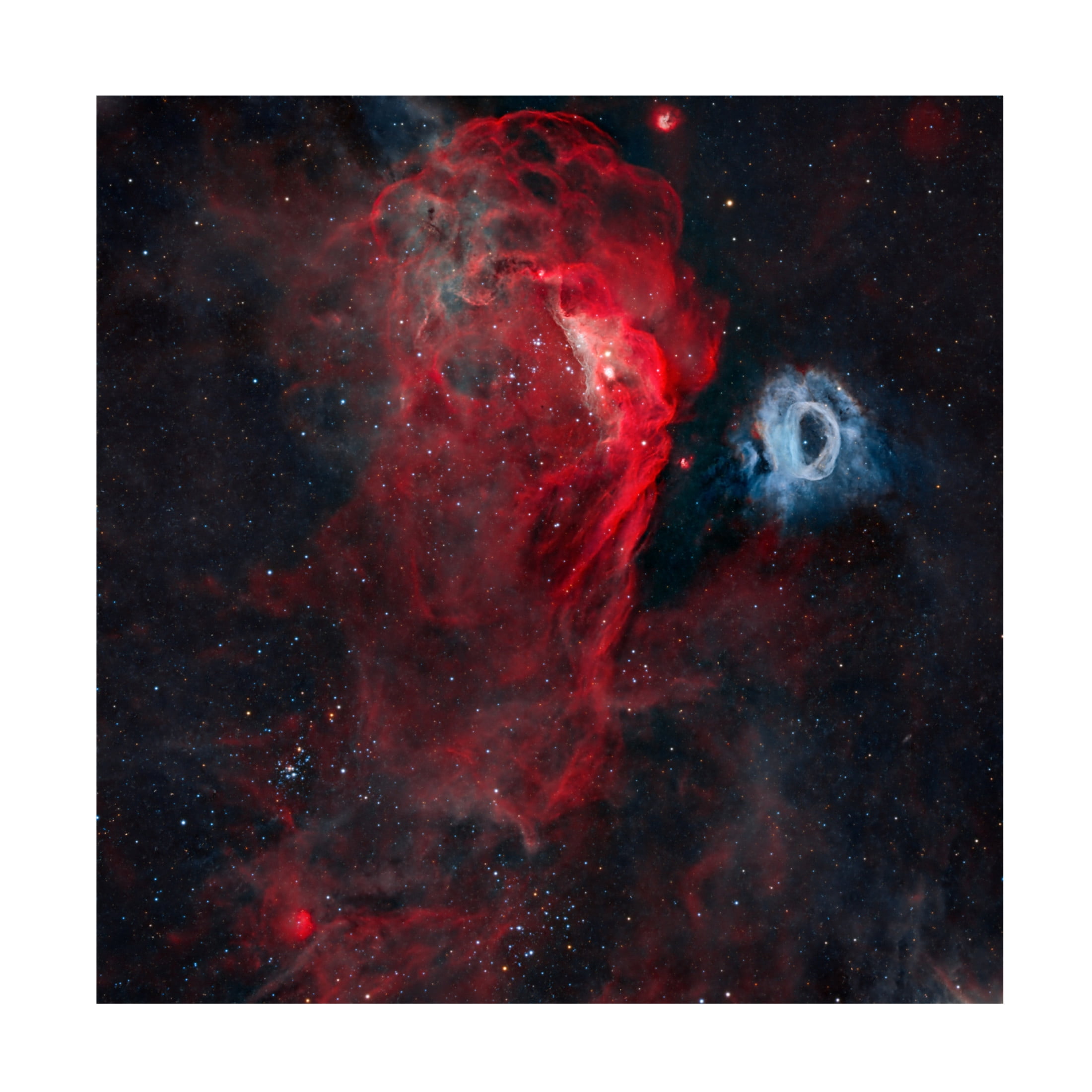 Trademark Fine Art Vikas Chander The Cosmic Reef Canvas Wall Art