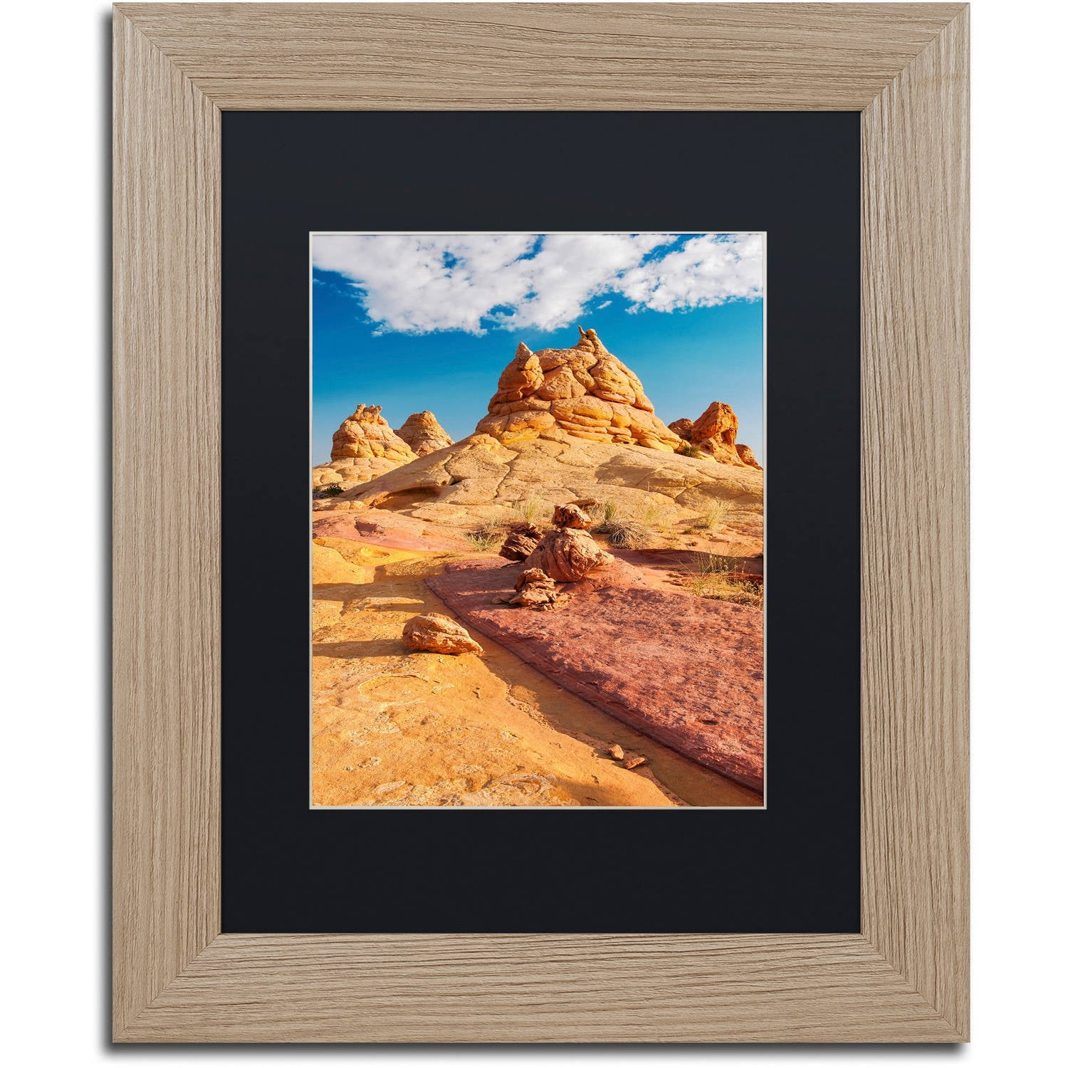 Trademark Fine Art "Viking Horns" Canvas Art by Michael Blanchette Photography Black Matte, Birch Frame