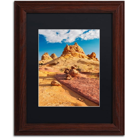 Trademark Fine Art "Viking Horns" Canvas Art by Michael Blanchette Photography Black Matte, Wood Frame