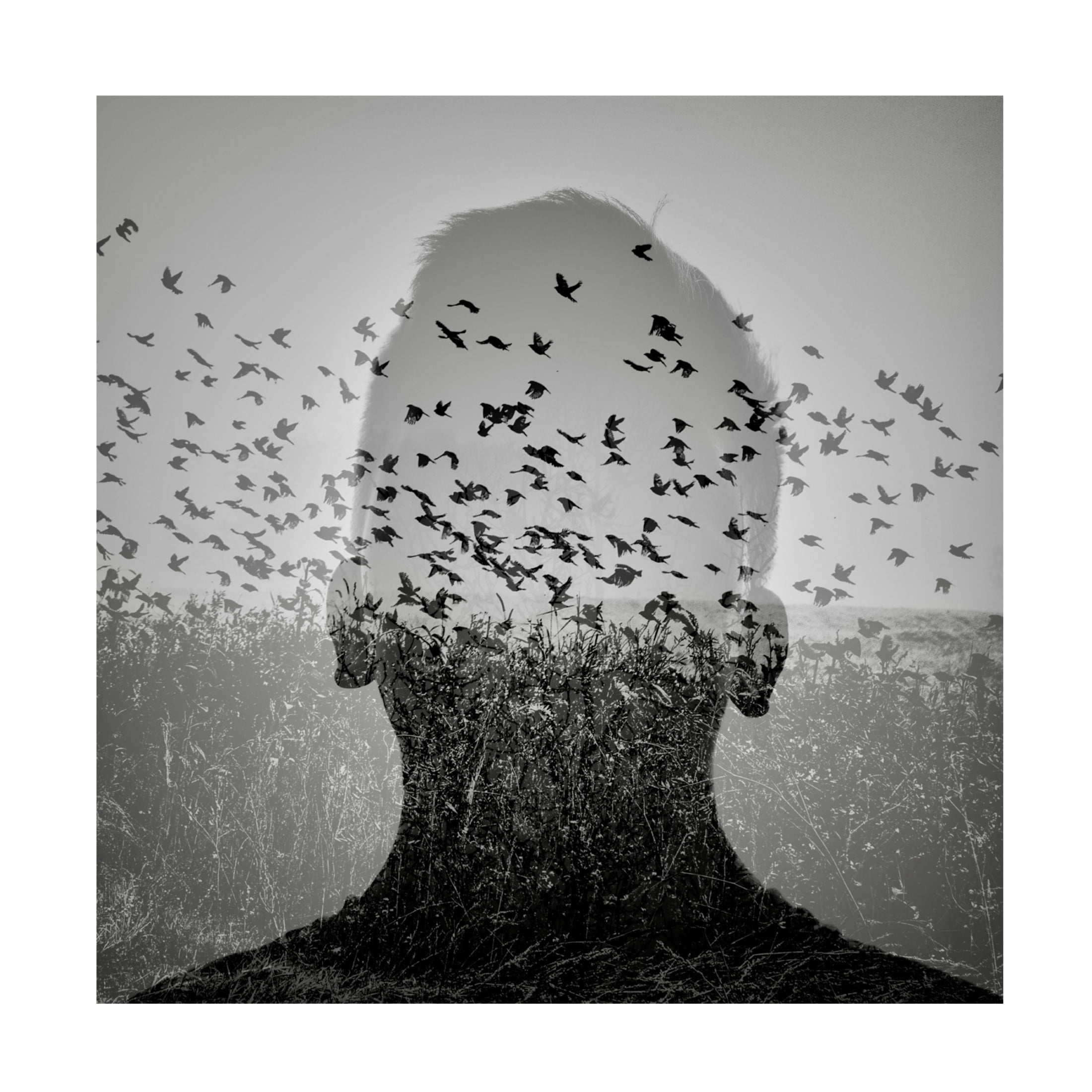 Trademark Fine Art Viktor Bauer  Beautiful mind 2 Canvas Wall Art