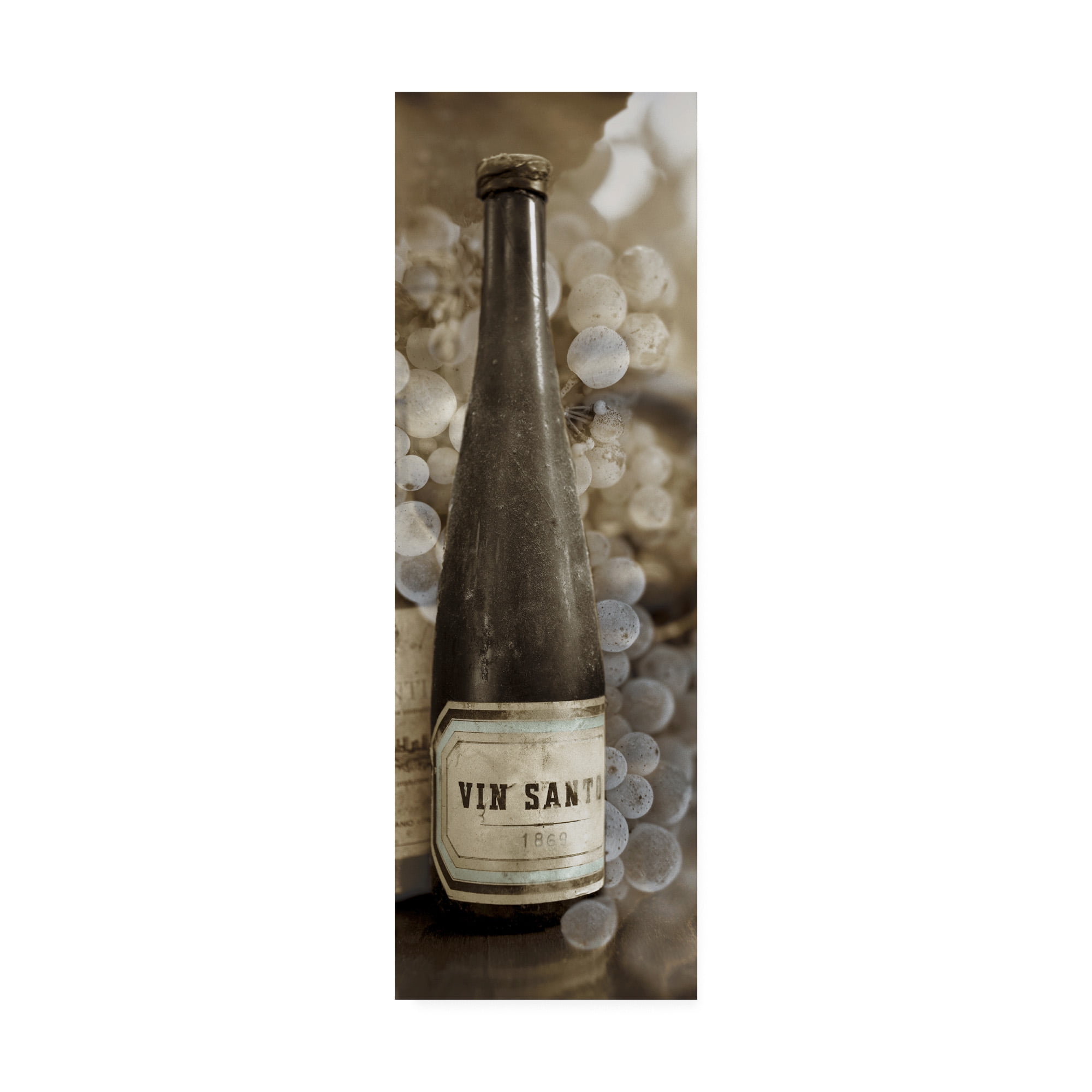 Trademark Fine Art 'Vin Santo #1' Canvas Art by Alan Blaustei