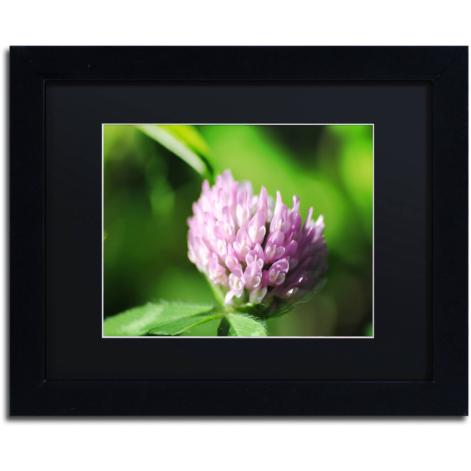 Trademark Fine Art "Vindictive Lust" Canvas Art by Monica Mize, Black Matte, Black Frame