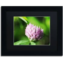 Trademark Fine Art "Vindictive Lust" Canvas Art by Monica Mize, Black Matte, Black Frame