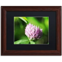 Trademark Fine Art "Vindictive Lust" Canvas Art by Monica Mize, Black Matte, Wood Frame