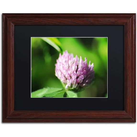 Trademark Fine Art "Vindictive Lust" Canvas Art by Monica Mize, Black Matte, Wood Frame