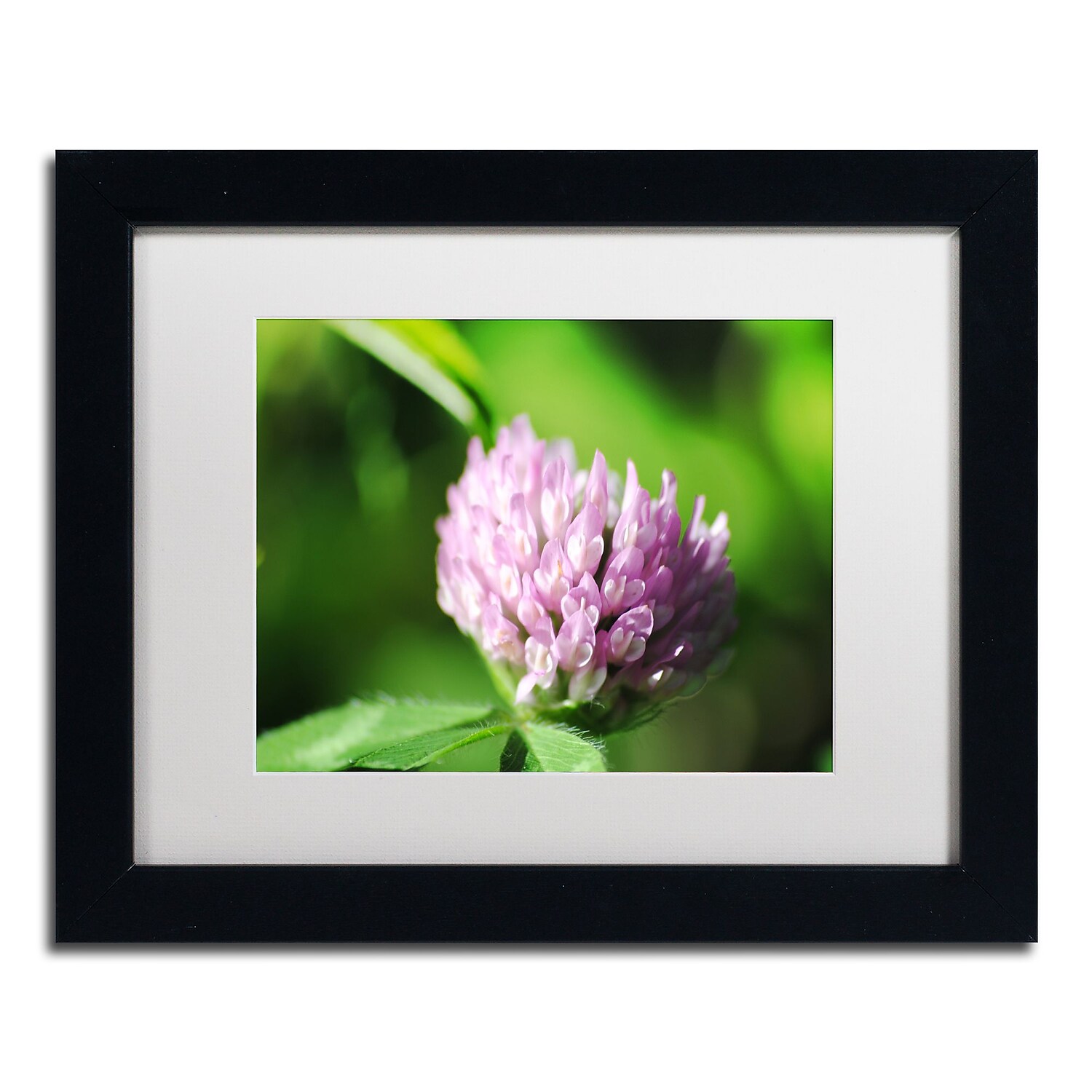 Trademark Fine Art "Vindictive Lust" Canvas Art by Monica Mize, White Matte, Black Frame