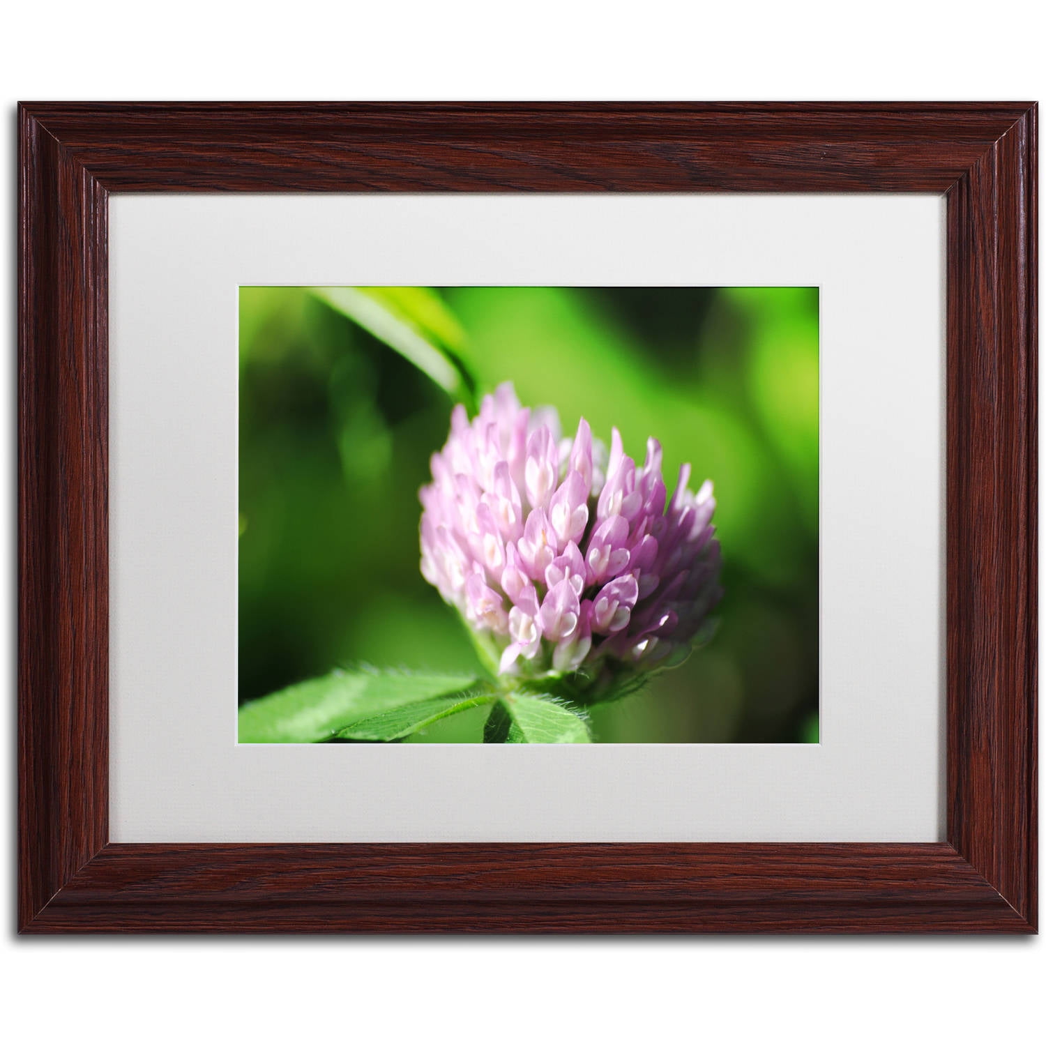 Trademark Fine Art "Vindictive Lust" Canvas Art by Monica Mize, White Matte, Wood Frame